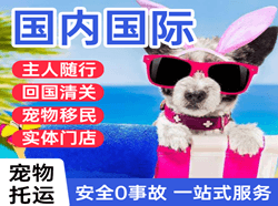 北海福成航空货运国际宠物托运 【国